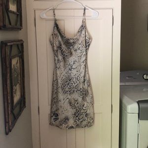 Snake print mini dress with a cowl neck